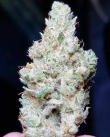 Cannabis-4all.com image 5